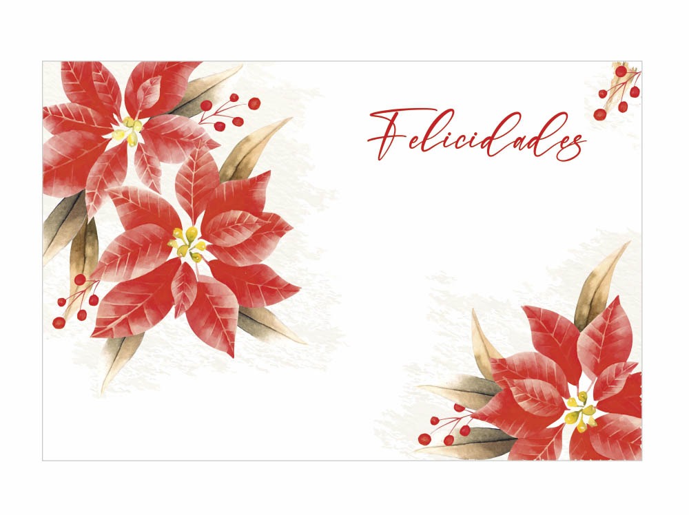 Combo Felicidades Individual RECTANGULAR + Porta Servilletas + Posavasos x 10 - Imagen 6