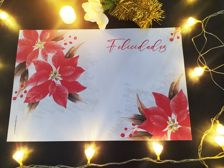 Combo Felicidades Individual RECTANGULAR + Porta Servilletas + Posavasos x 10 - Imagen 5